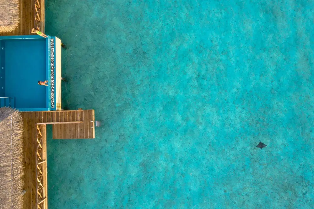 Infinity pool at the edge of a beach, seen from above